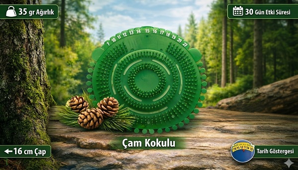 Çam<br>Kokulu