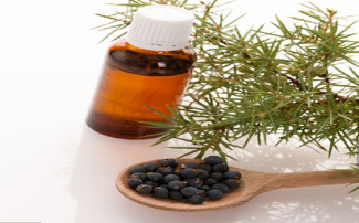 Cin Kiti - Ardıç Aroması Hakkında Bilmeniz Gerekenler